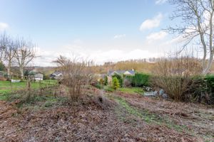 Rear Garden- click for photo gallery